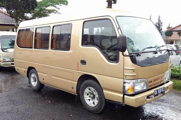 12 person van